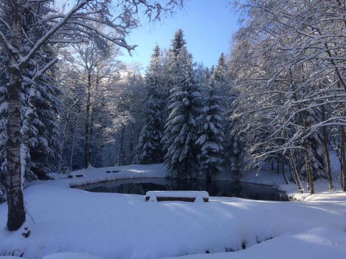 Chata Rozhlas Železná Ruda Exterior foto